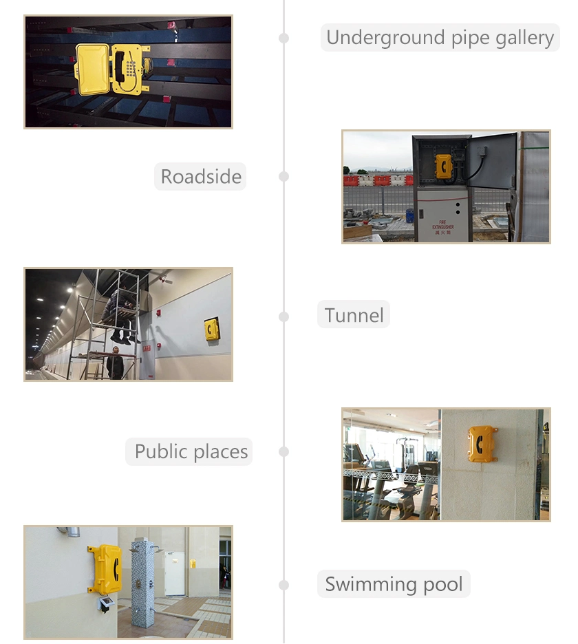 IP / VoIP Weatherproof Telephone Case